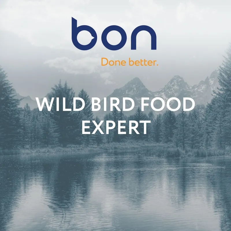 BON – corporate website & catalogue by Atom Solutions